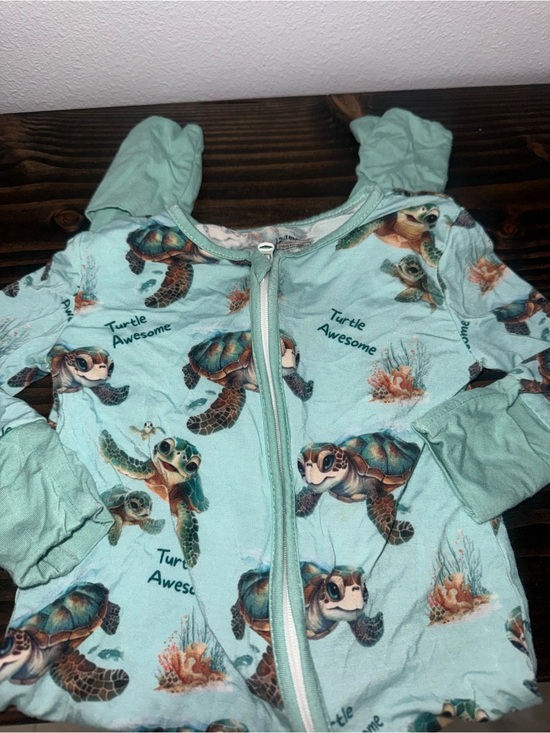 Other - Bamboo Turtle Zip Footie Size 12/18 Month